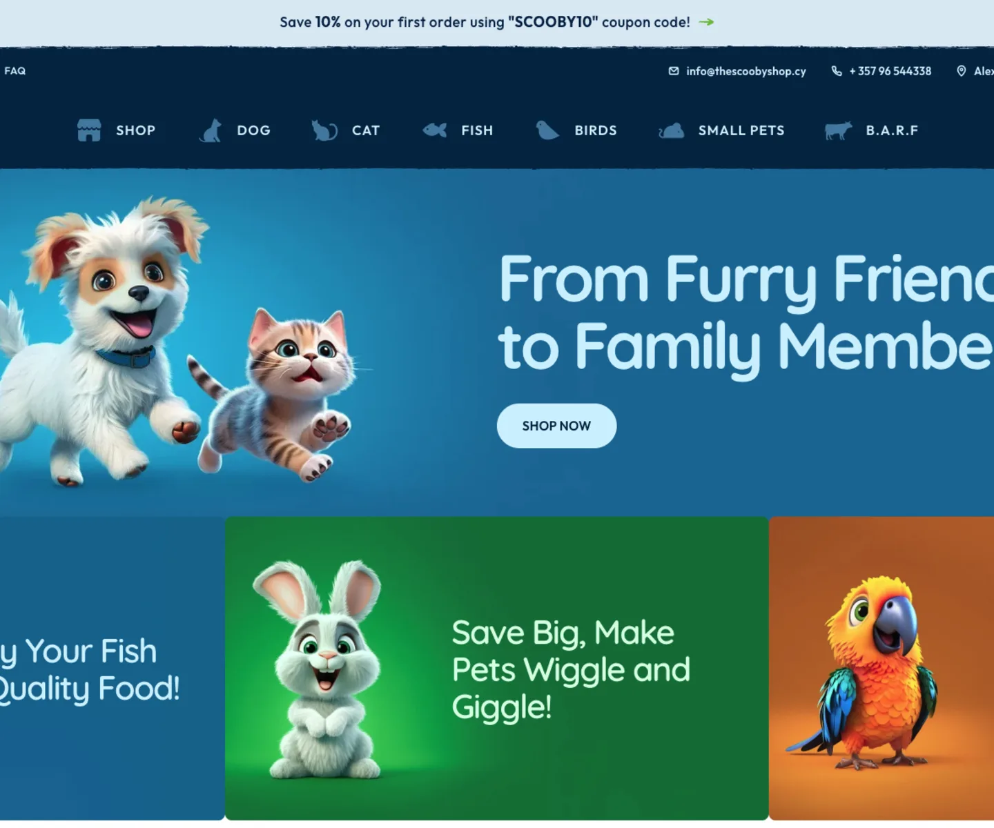 E-commerce homepage visual